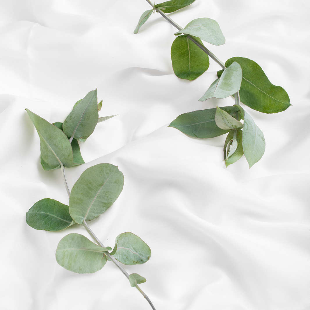 Lyocell waschen: So pflegst Du Bettw&auml;sche und andere Produkte aus der Textilfaser richtig